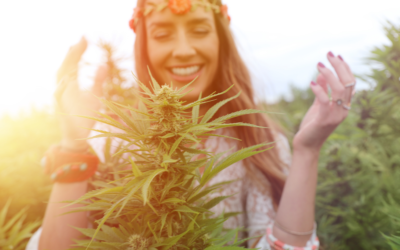 Critical Information Every Cannabis User Should Know (or keep in mind).